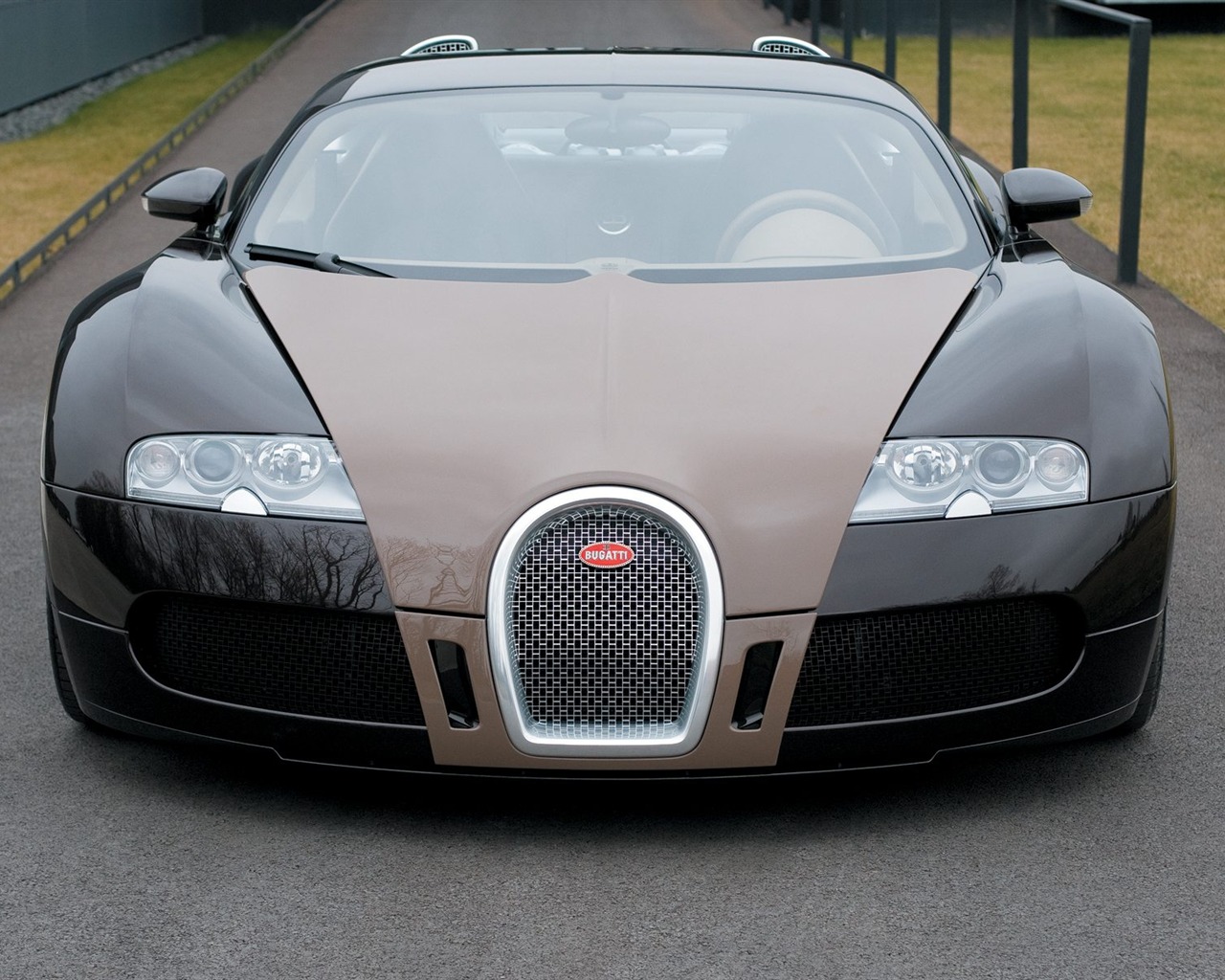 Album Bugatti Veyron Fond d'écran (3) #8 - 1280x1024