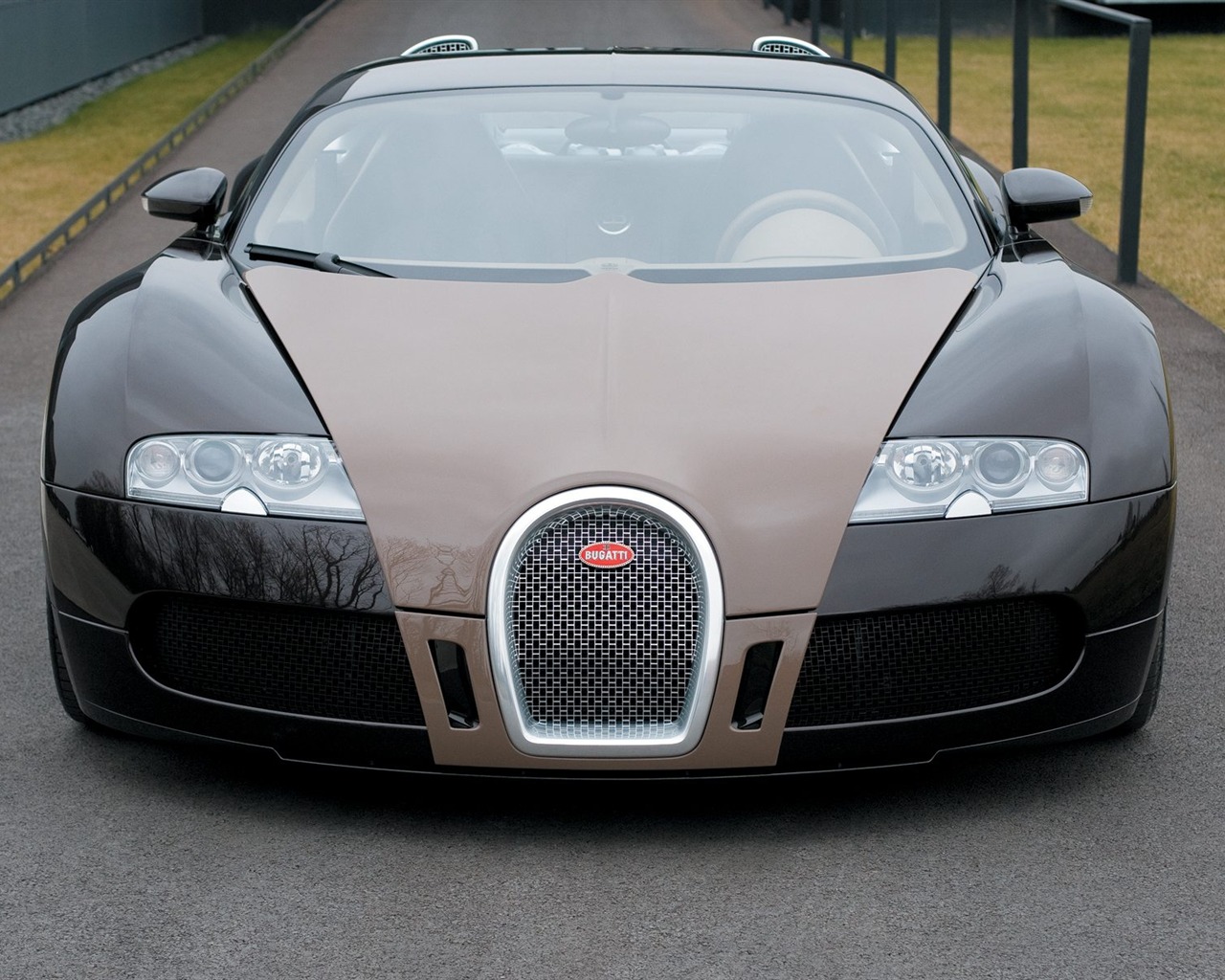 Bugatti Veyron Wallpaper Album (3) #8 - 1280x1024