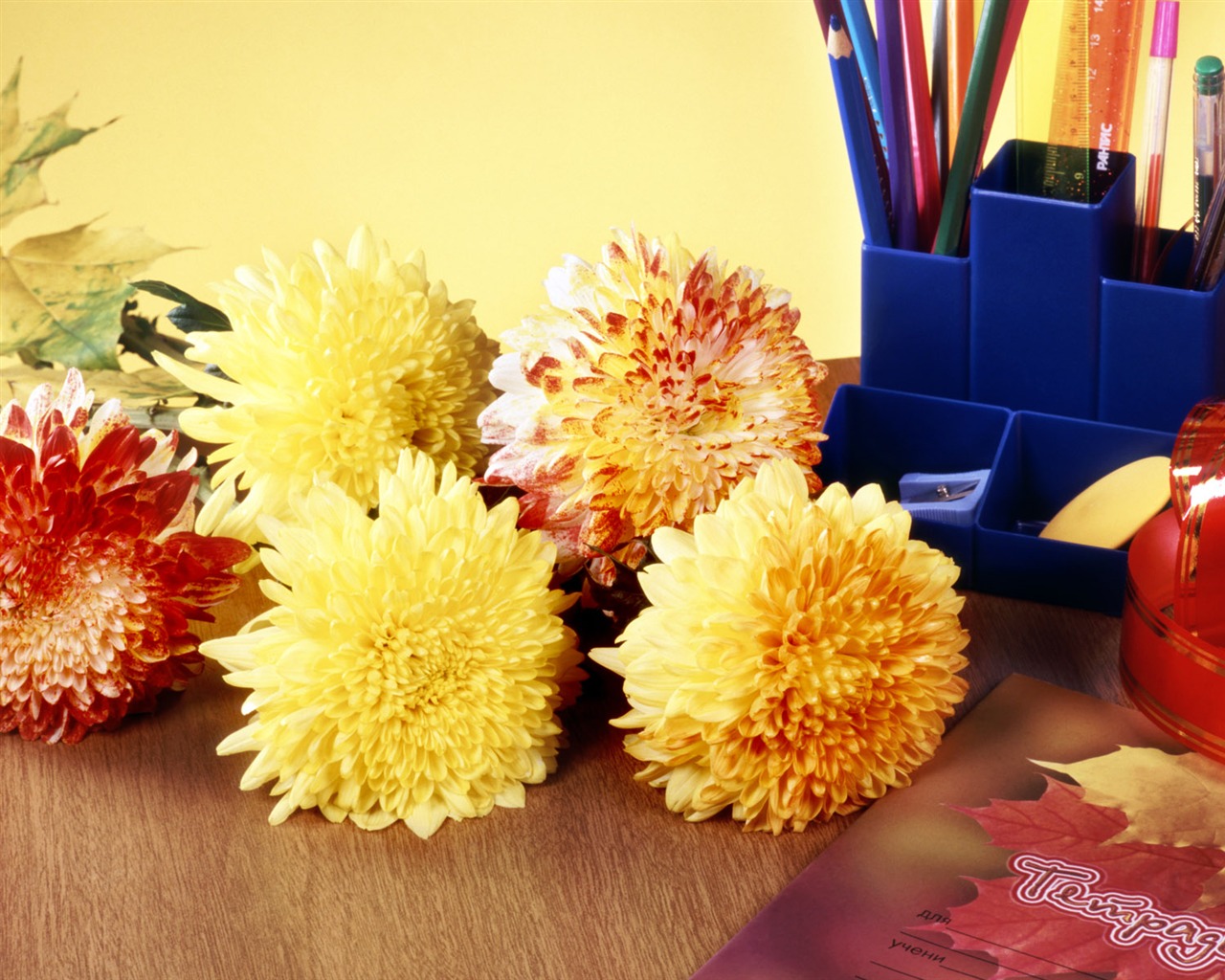 Flowers and Instrument wallpaper #17 - 1280x1024