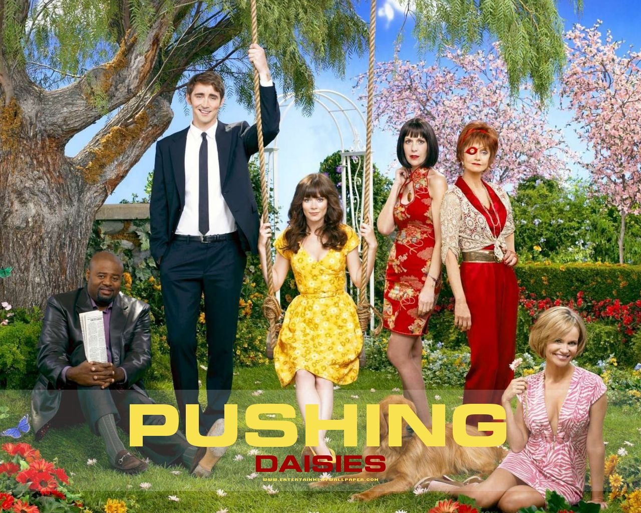 Pushing Daisies wallpaper #1 - 1280x1024