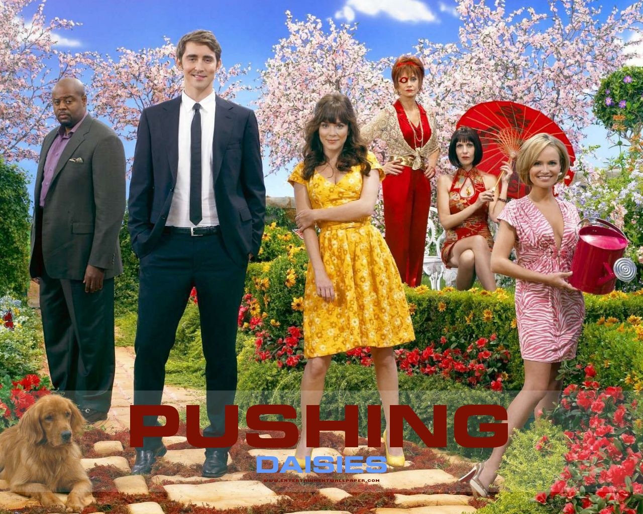 Pushing Daisies wallpaper #2 - 1280x1024