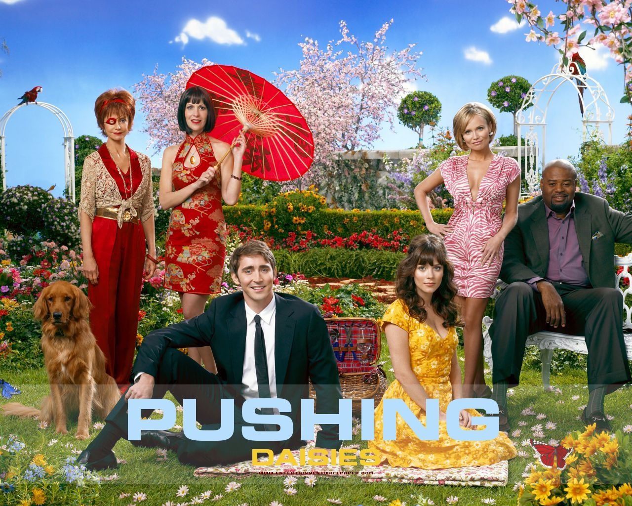 Pushing Daisies wallpaper #3 - 1280x1024