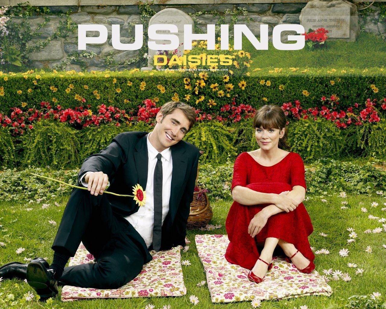 Pushing Daisies 靈指神探 #4 - 1280x1024