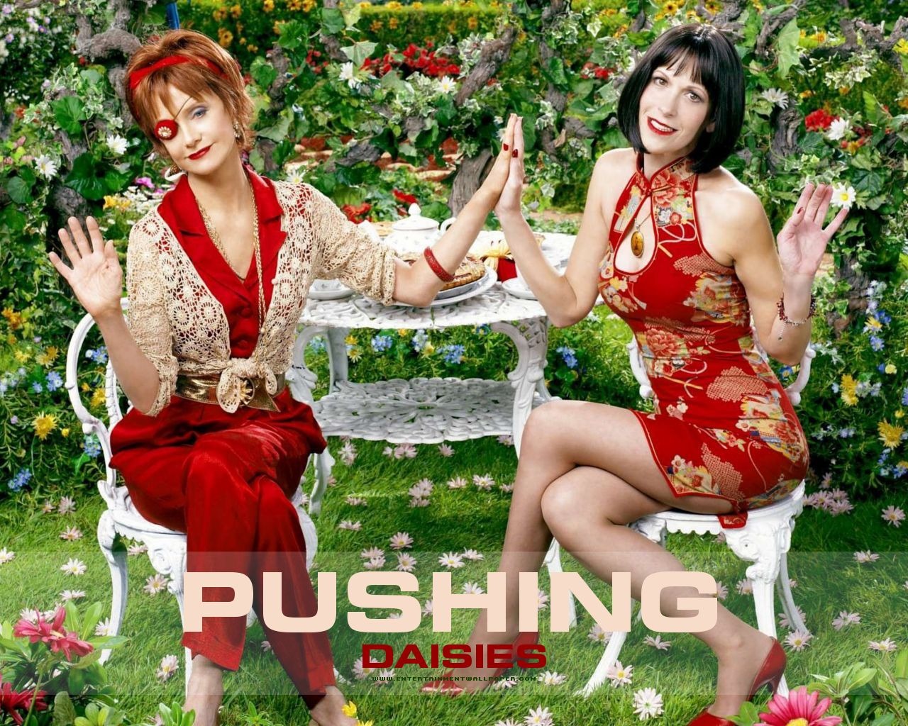 Pushing Daisies wallpaper #5 - 1280x1024