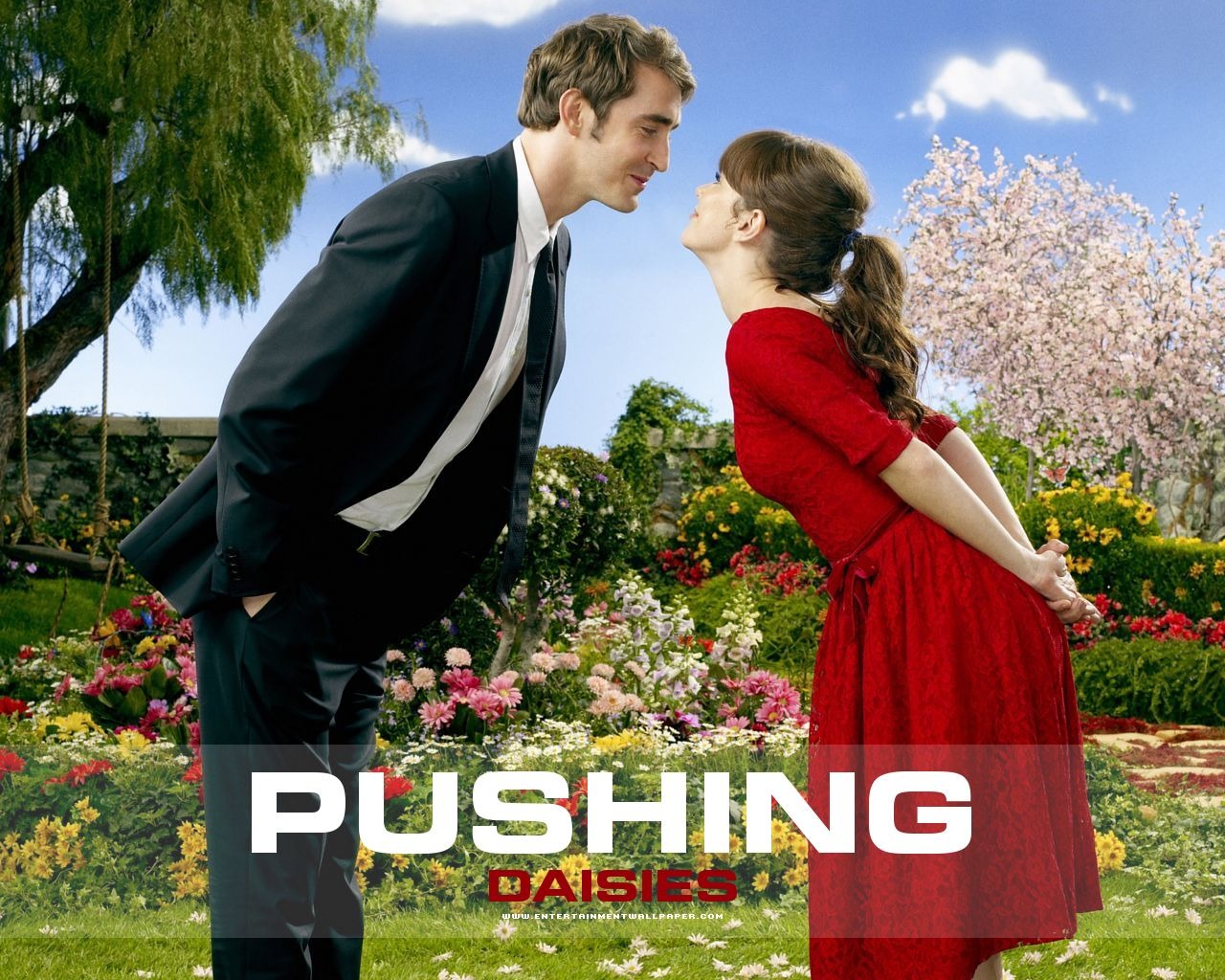Pushing Daisies wallpaper #8 - 1280x1024