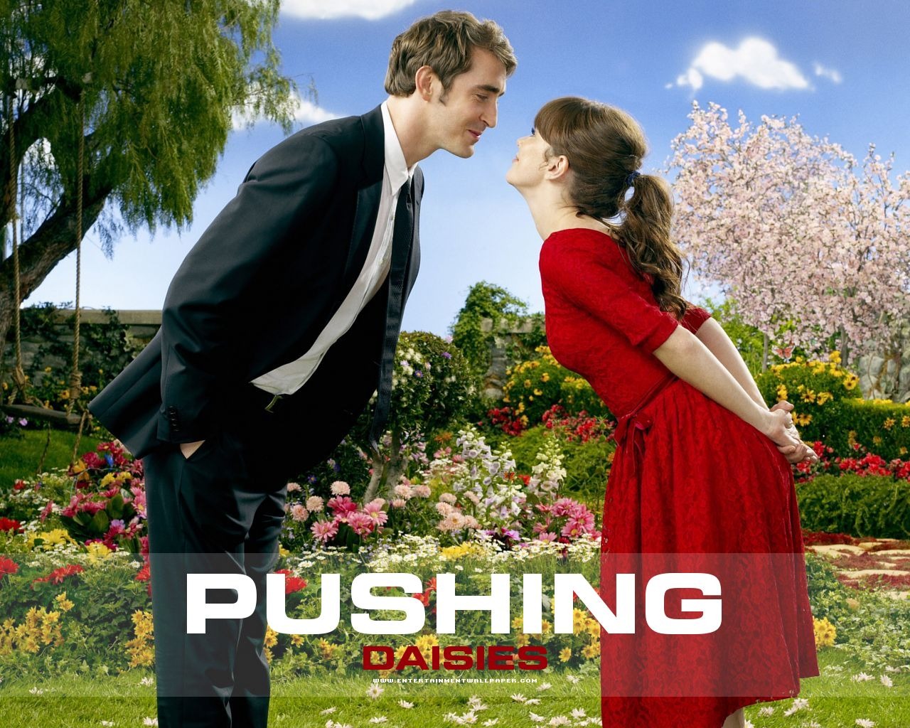 Pushing Daisies 靈指神探 #8 - 1280x1024