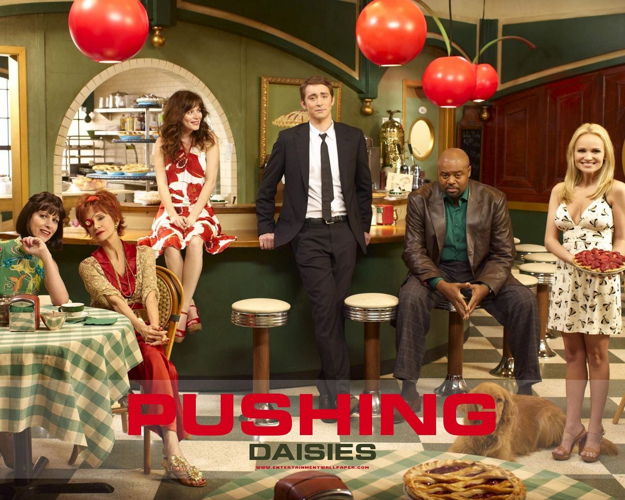 Pushing Daisies 靈指神探 #11 - 1280x1024