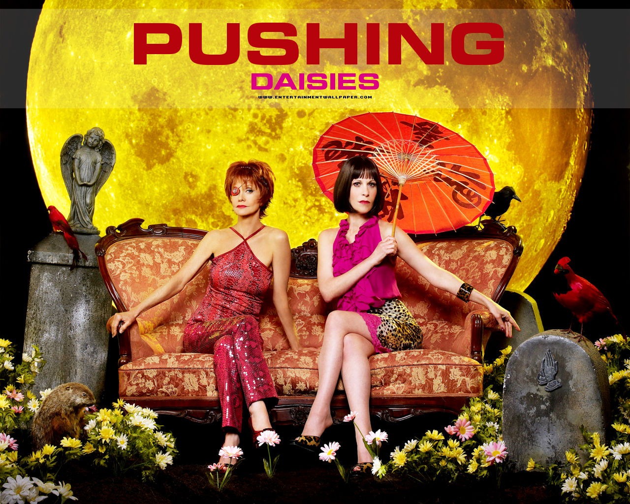 Pushing Daisies 靈指神探 #13 - 1280x1024