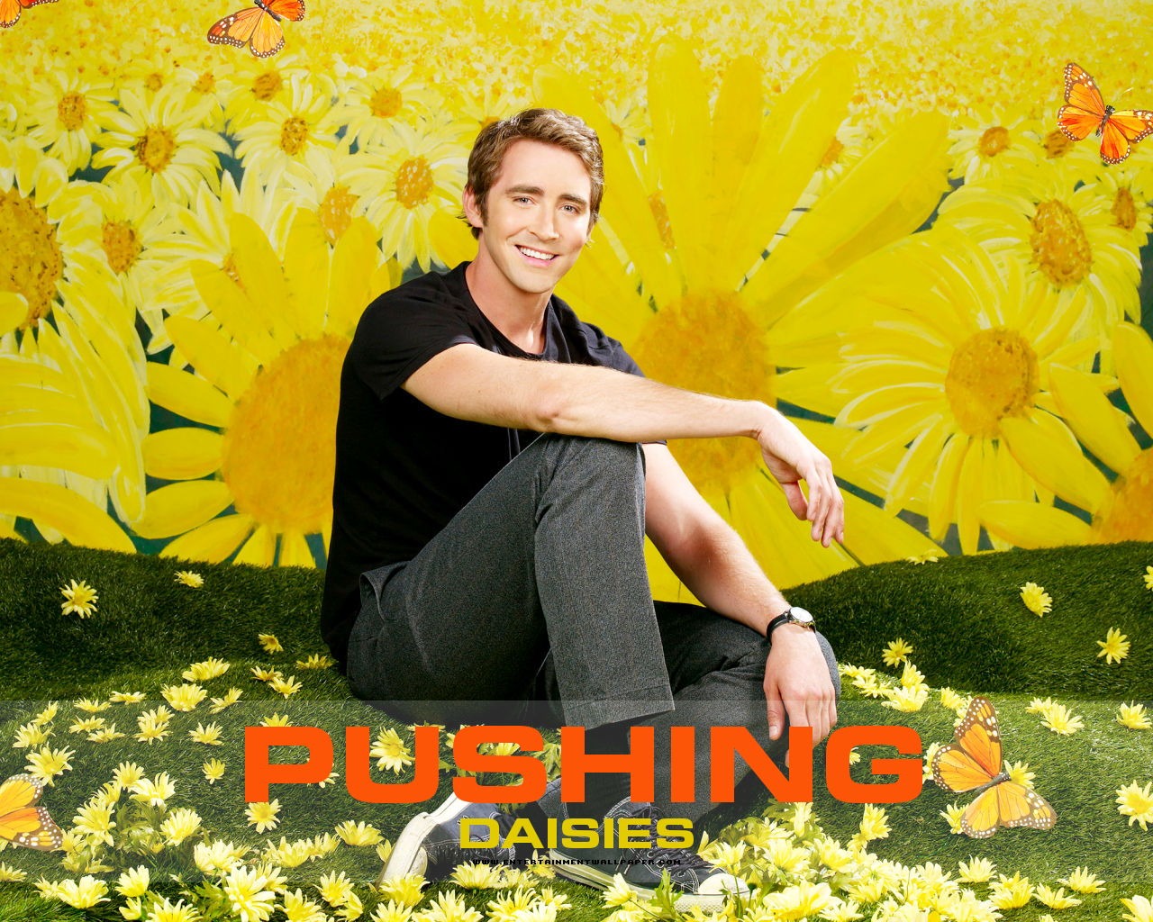 Pushing Daisies wallpaper #14 - 1280x1024