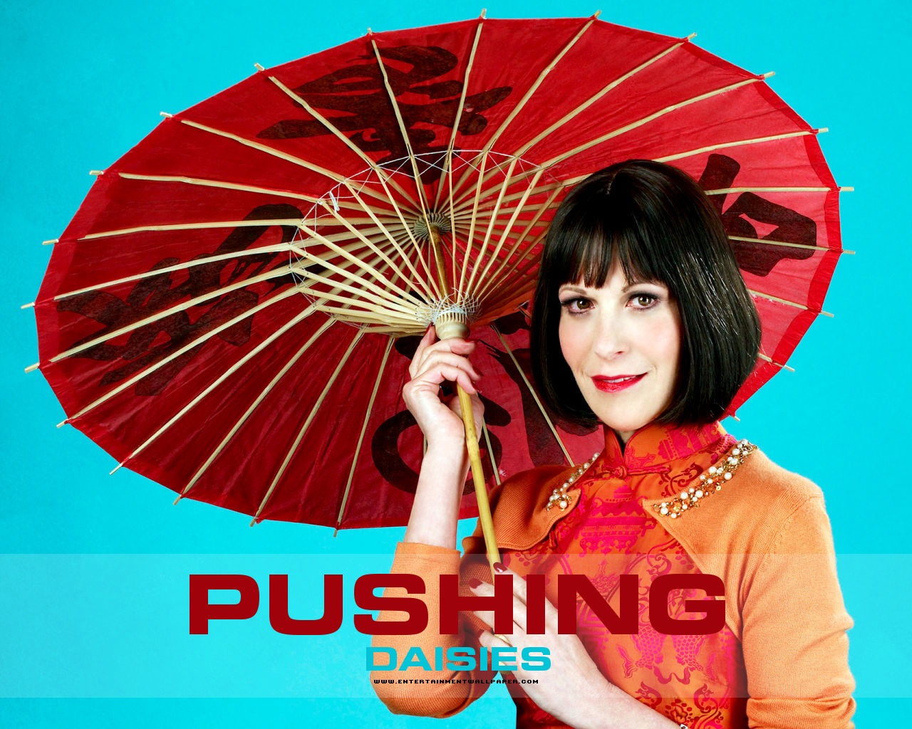 Pushing Daisies wallpaper #18 - 1280x1024