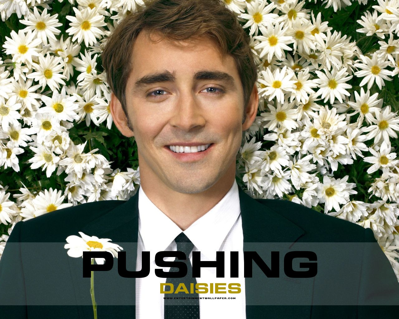 Pushing Daisies wallpaper #20 - 1280x1024
