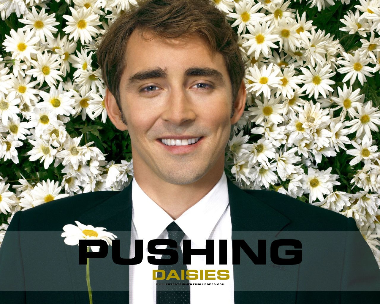 Pushing Daisies 靈指神探 #20 - 1280x1024