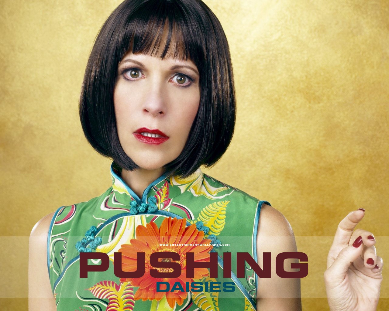 Pushing Daisies 靈指神探 #24 - 1280x1024