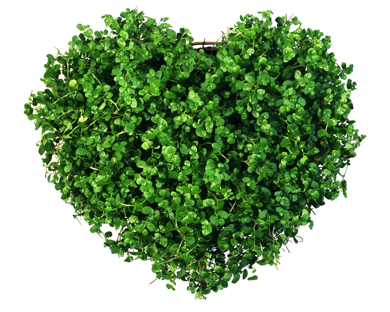 Love heart wallpaper album (4) #16 - 1280x1024