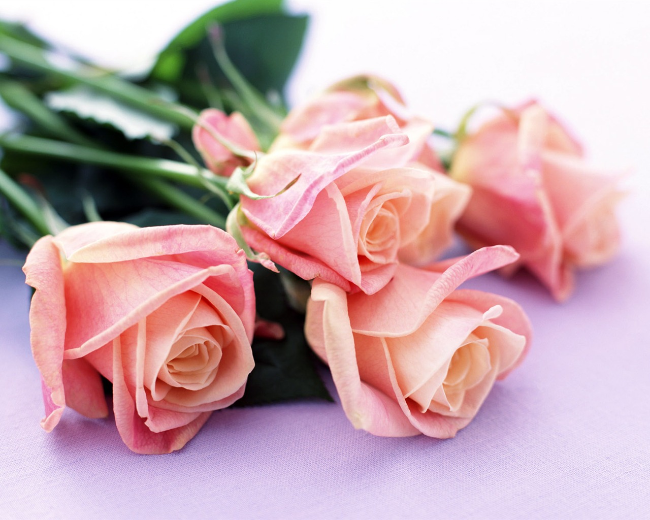 Flowers close-up (22) #1 - 1280x1024