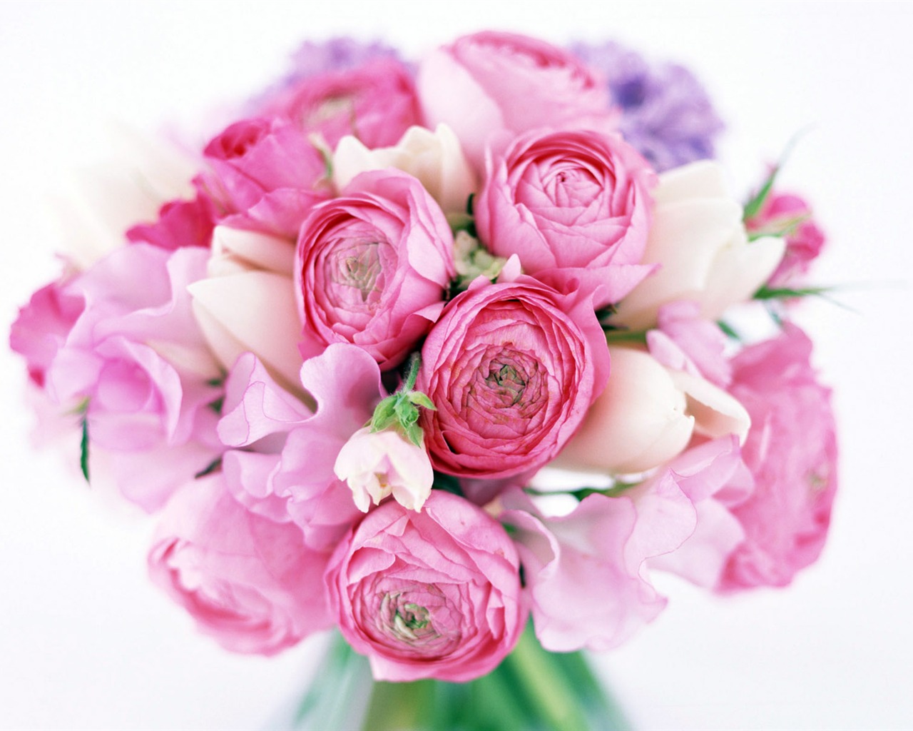 Flowers close-up (23) #13 - 1280x1024