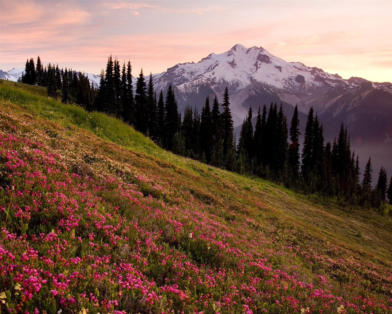 Webshots Scenery Wallpapers (10) #2 - 1280x1024