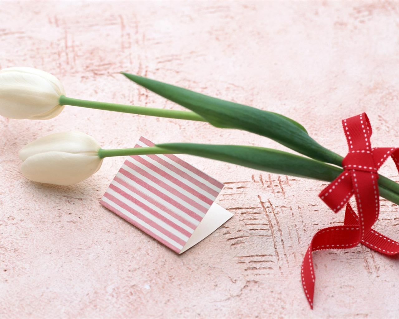 Flowers Widescreen Wallpaper #18 - 1280x1024