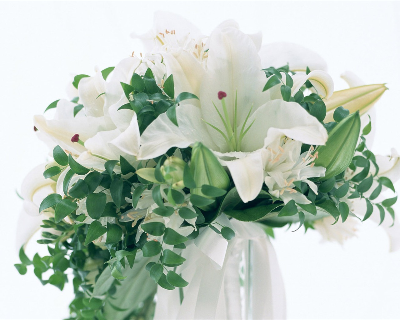 Flowers Widescreen Wallpaper #23 - 1280x1024
