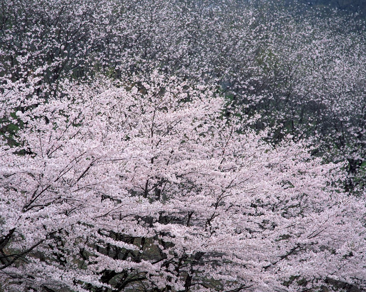 自然風光精選(十) #21 - 1280x1024