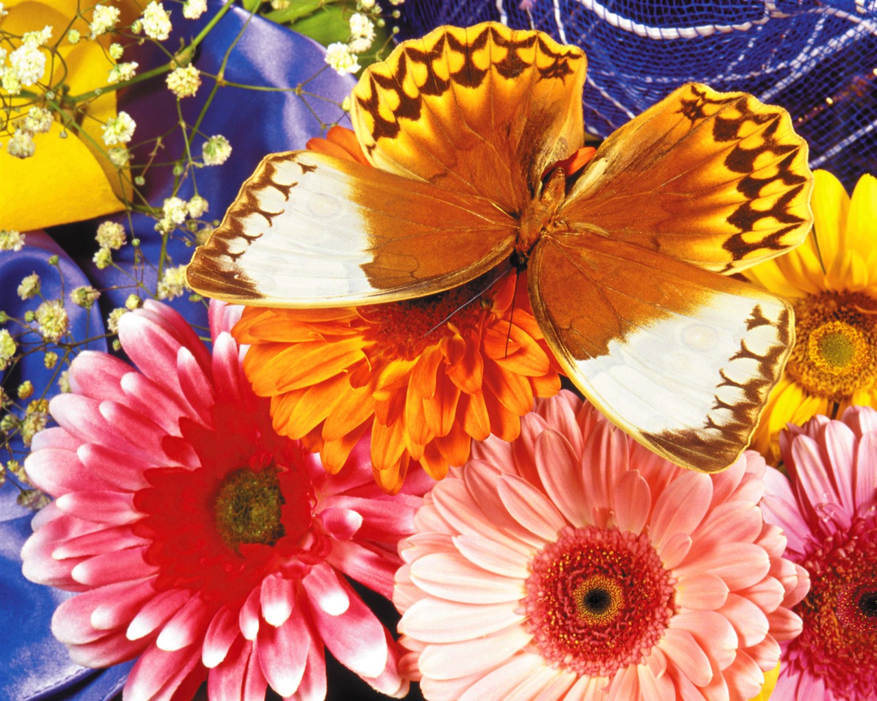 Papillons et fleurs album papier peint (1) #6 - 1280x1024