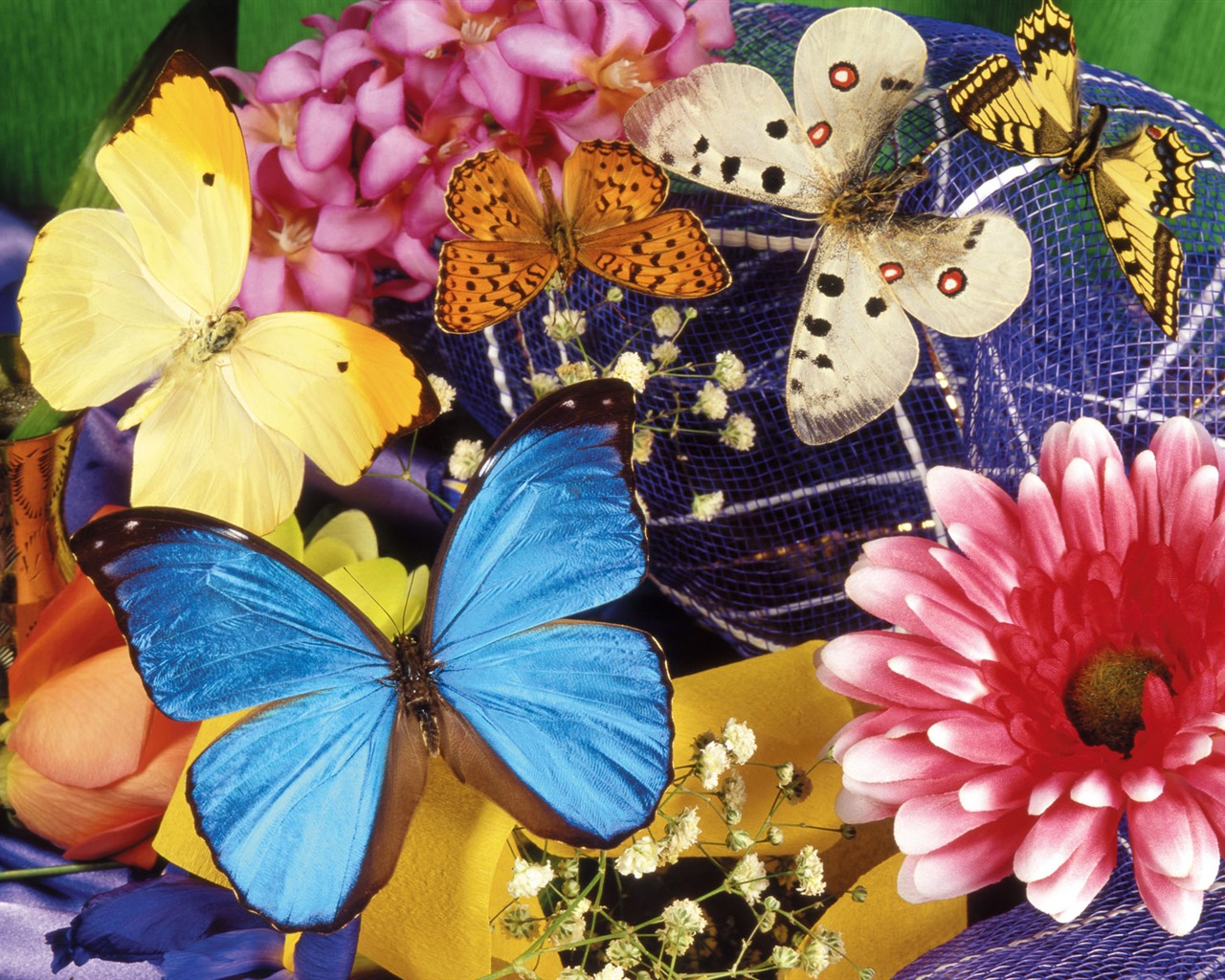 motýli a květiny tapety album (1) #20 - 1280x1024