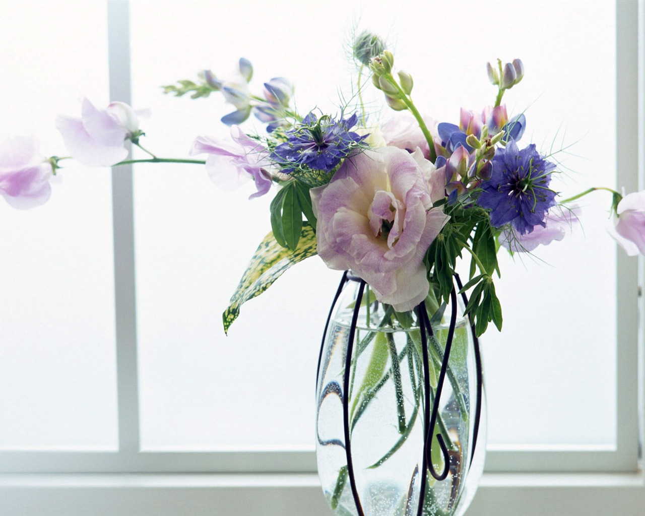 Room Flower photo wallpapers #5 - 1280x1024