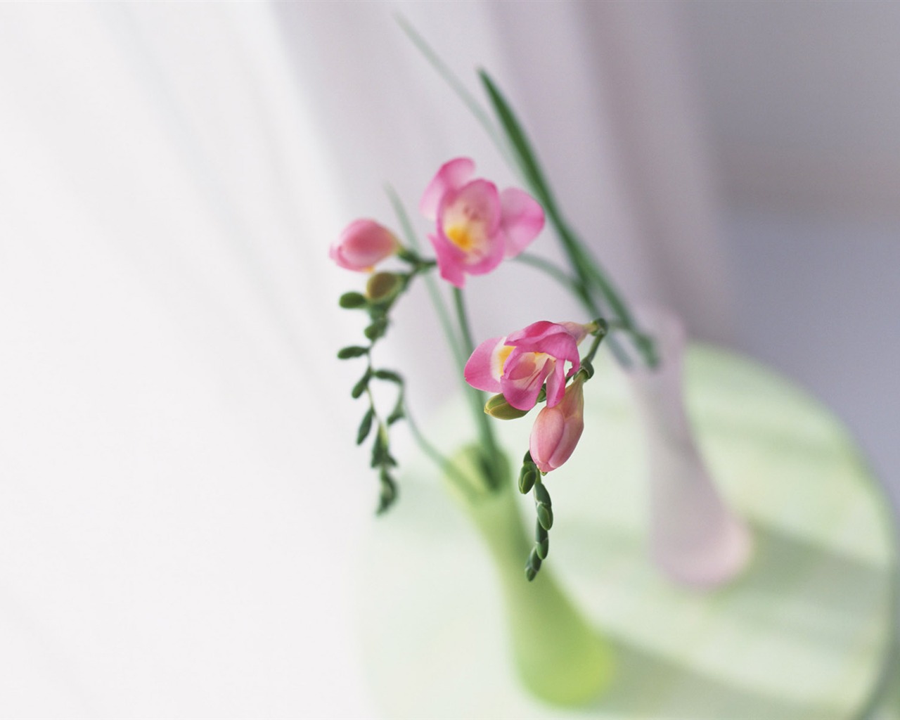 Room Flower photo wallpapers #29 - 1280x1024