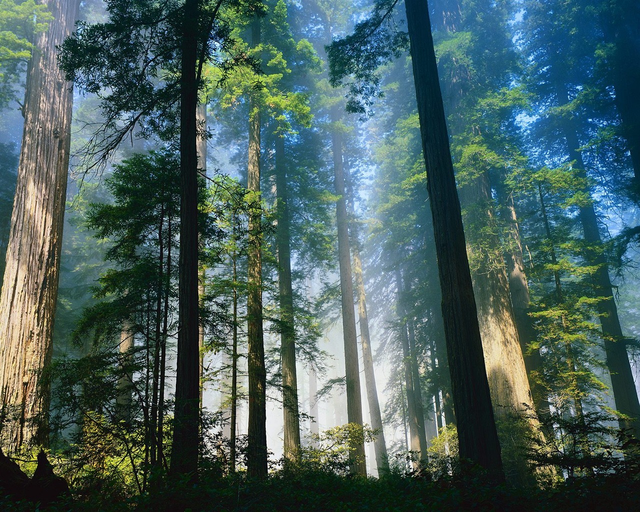 Magic přírodní krásy #1 - 1280x1024