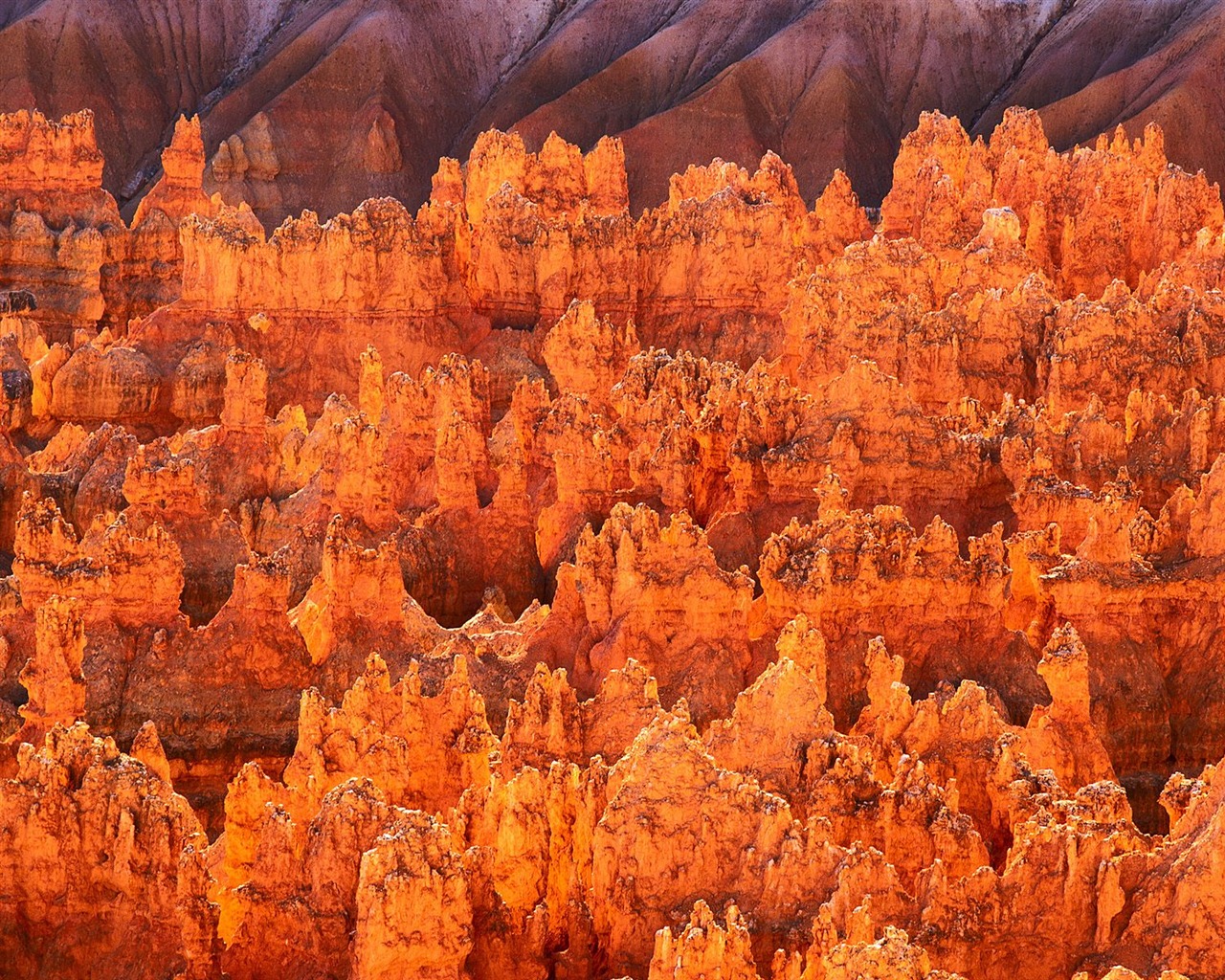 神奇自然美景 #6 - 1280x1024