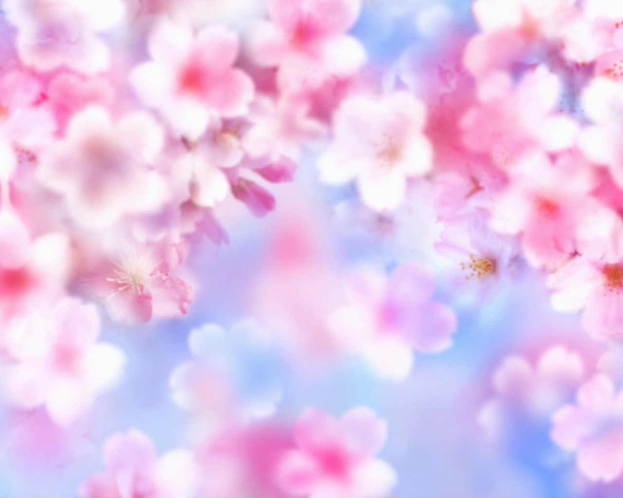 梦幻CG背景花卉壁纸3 - 1280x1024
