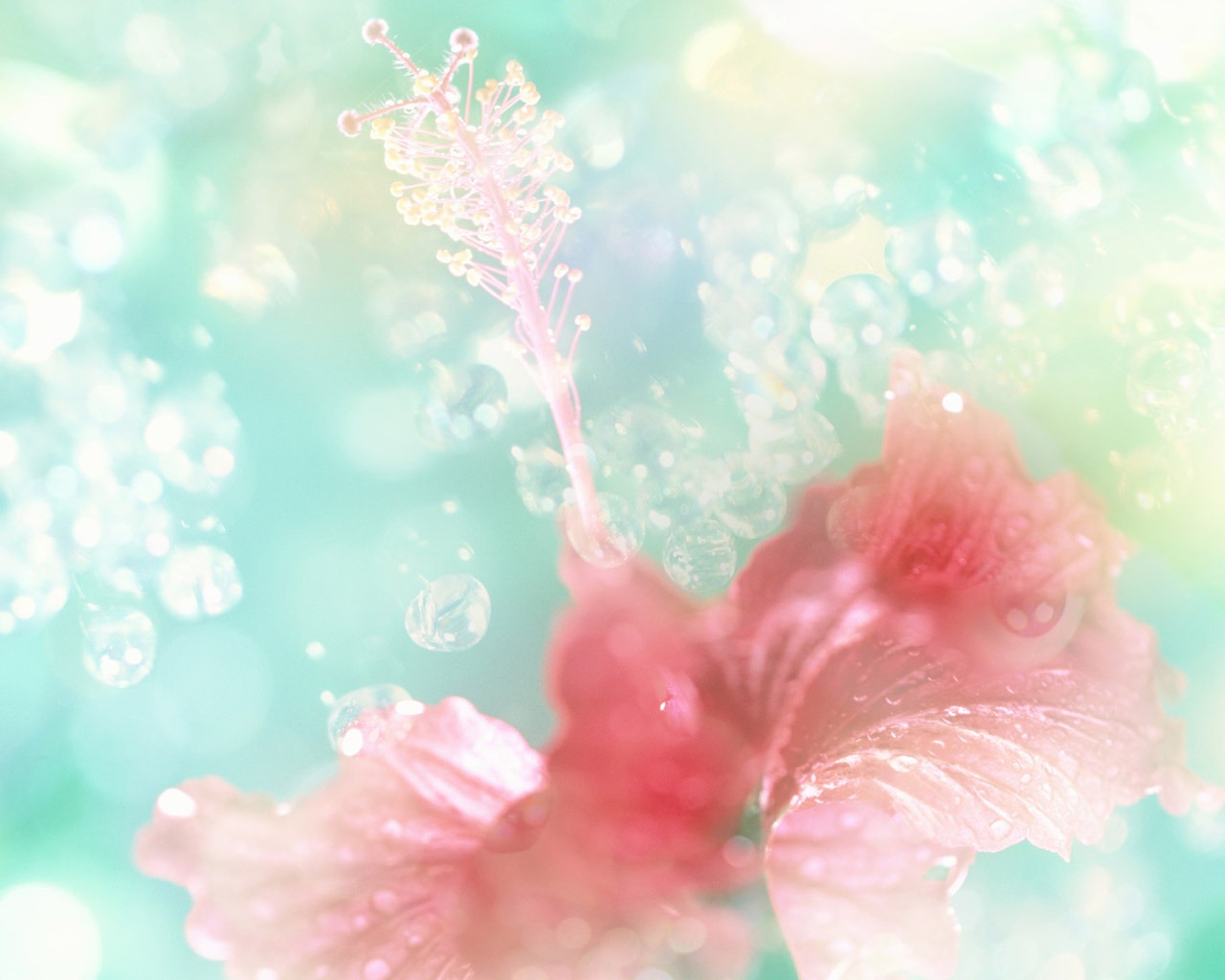 梦幻CG背景花卉壁纸5 - 1280x1024