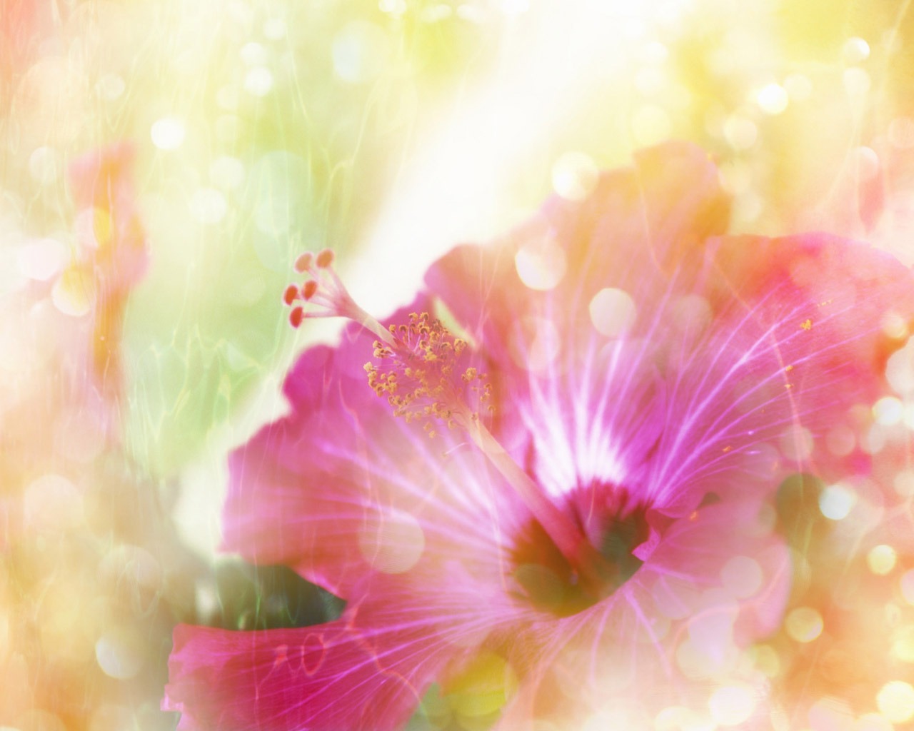 梦幻CG背景花卉壁纸18 - 1280x1024