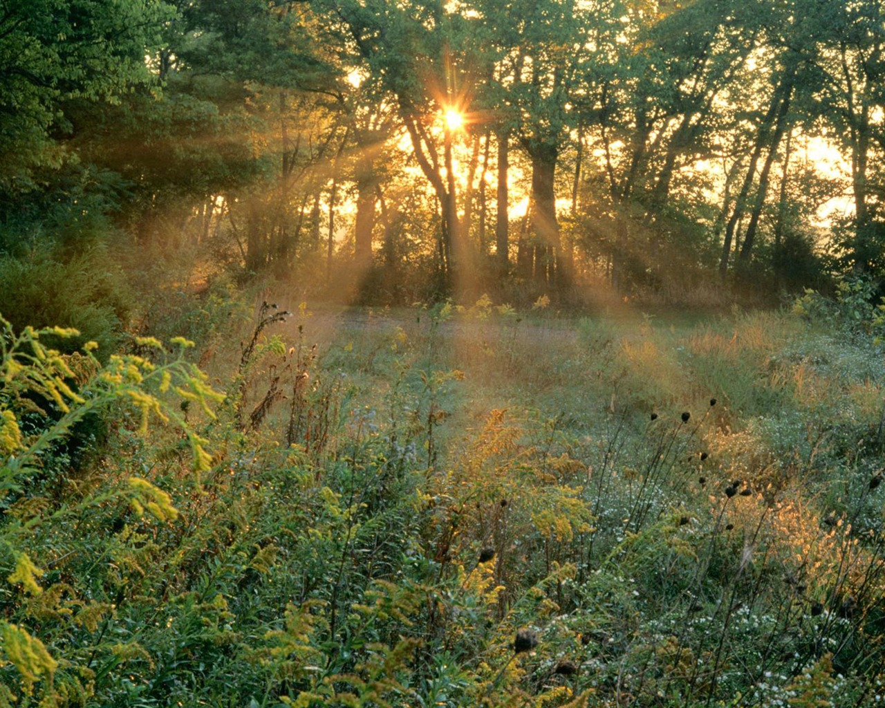 Webshots Landschaftsfotografie Tapete #17 - 1280x1024