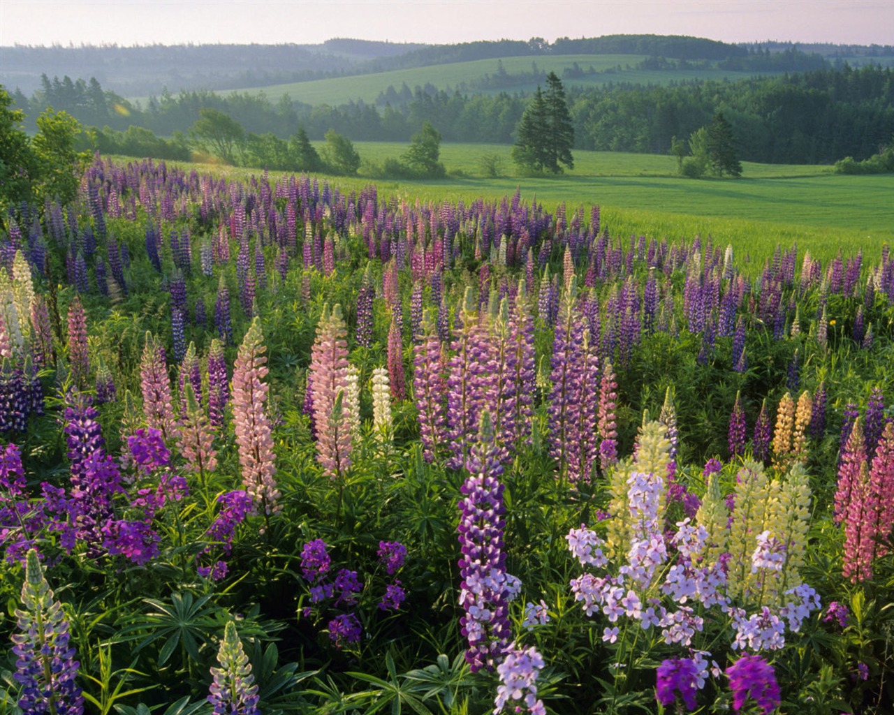 Okouzlující přírodní scenérie HD Wallpaper (1) #3 - 1280x1024