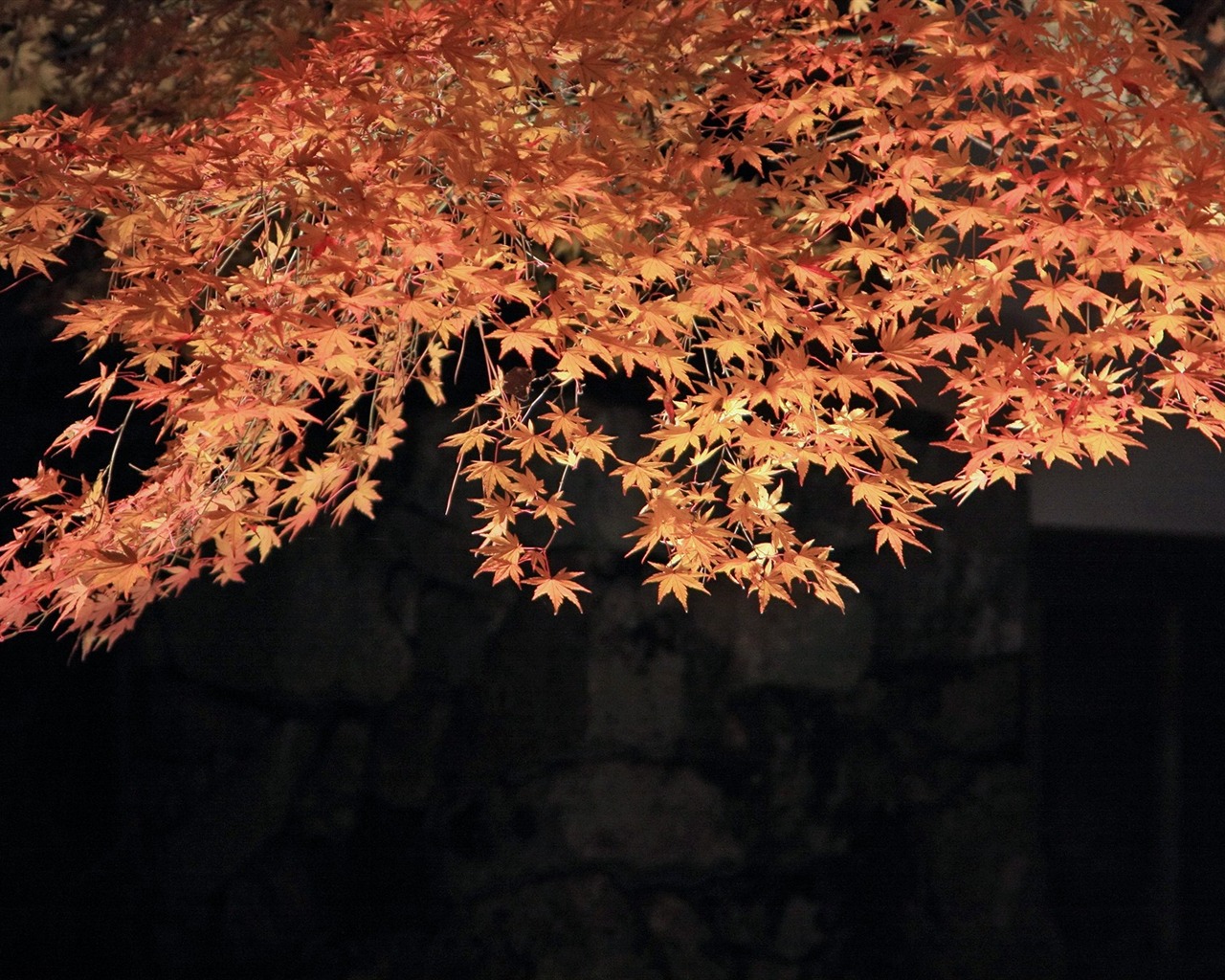 Maple nebe tapetu (3) #4 - 1280x1024