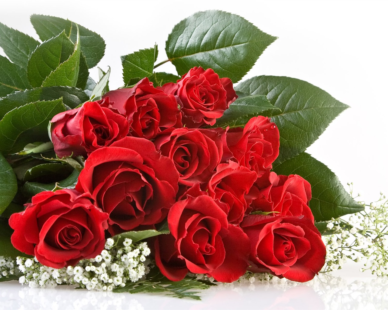 Rose Foto tapety (1) #1 - 1280x1024