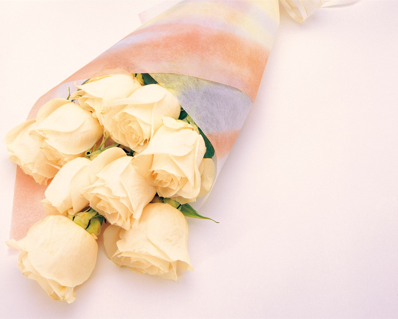 Rose Photo Wallpaper (1) #3 - 1280x1024