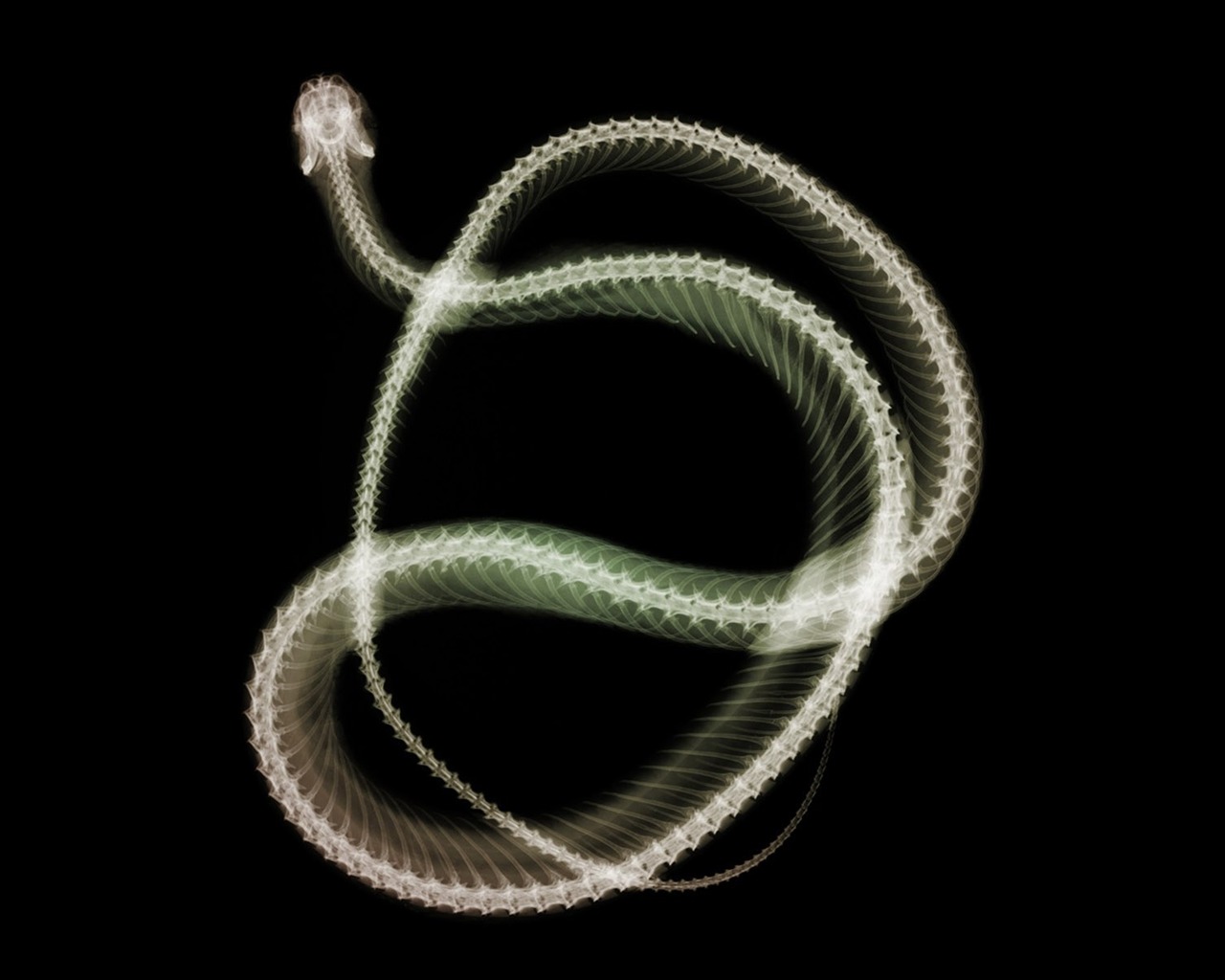 výhledu fluorescence širokoúhlý Tapeta #10 - 1280x1024
