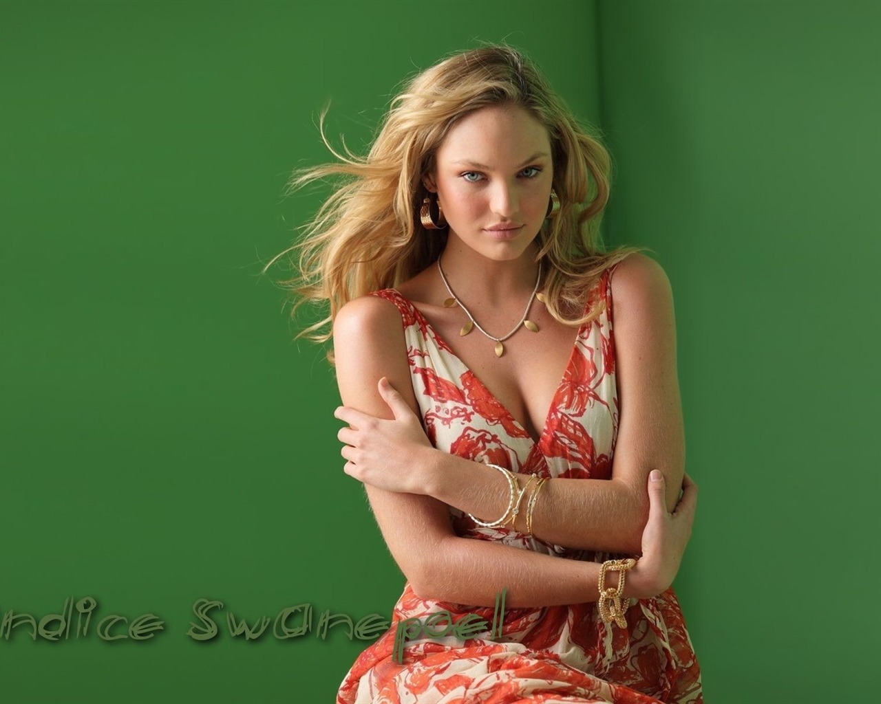 Candice Swanepoel 康迪斯·斯瓦内普尔 美女壁纸16 - 1280x1024