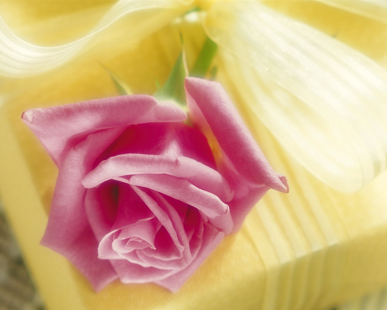 Rose Foto tapety (2) #14 - 1280x1024