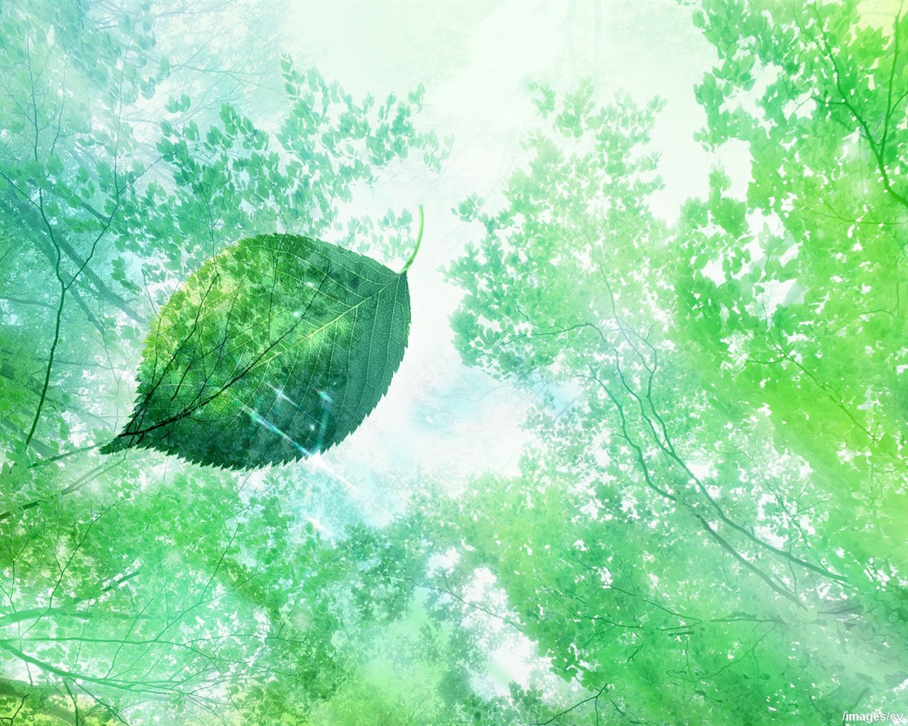 Watermark svěží zelený list tapety #15 - 1280x1024