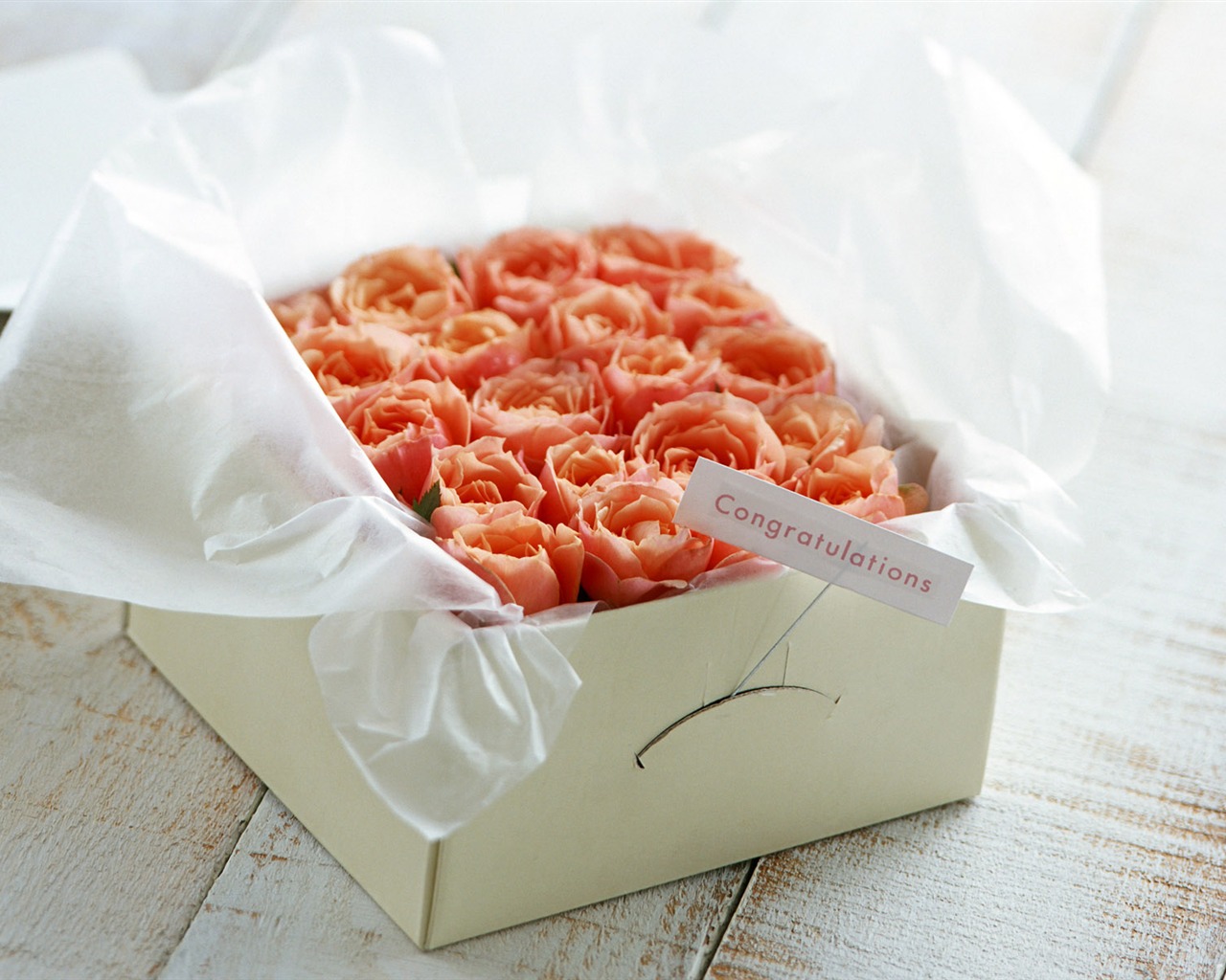Flowers and gifts wallpaper (1) #11 - 1280x1024