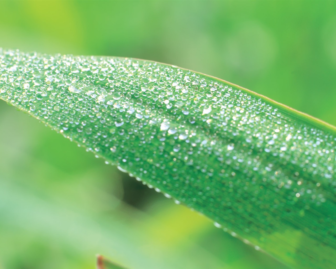 South Korea's natural beauty #29 - 1280x1024
