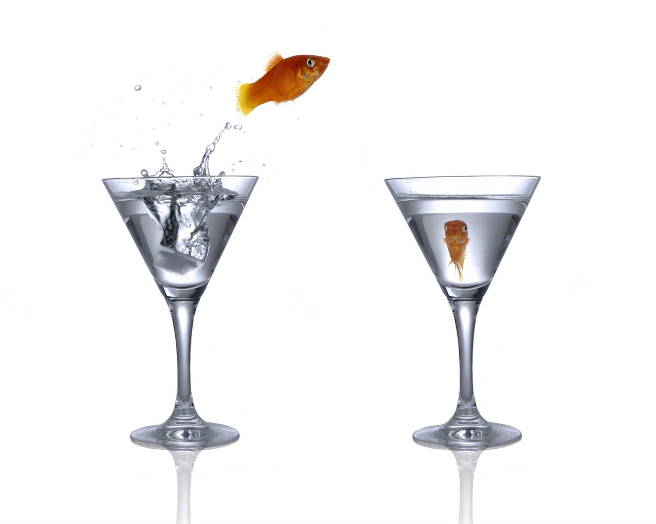 Jumping goldfish wallpaper #4 - 1280x1024