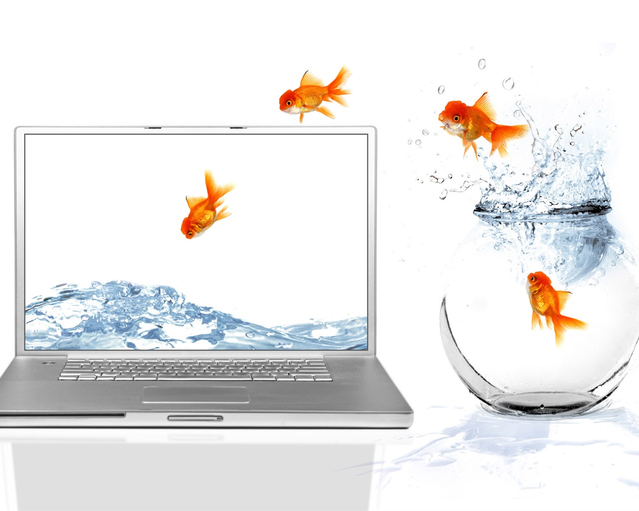 Jumping goldfish wallpaper #11 - 1280x1024