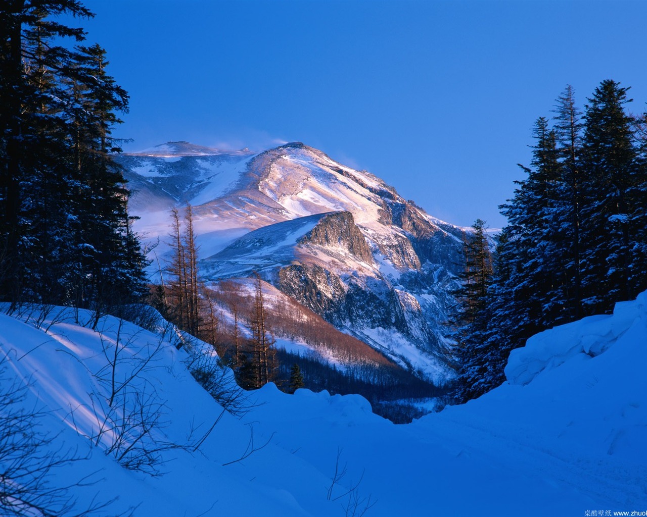 Tapety Krajina Kolekce (3) #29 - 1280x1024