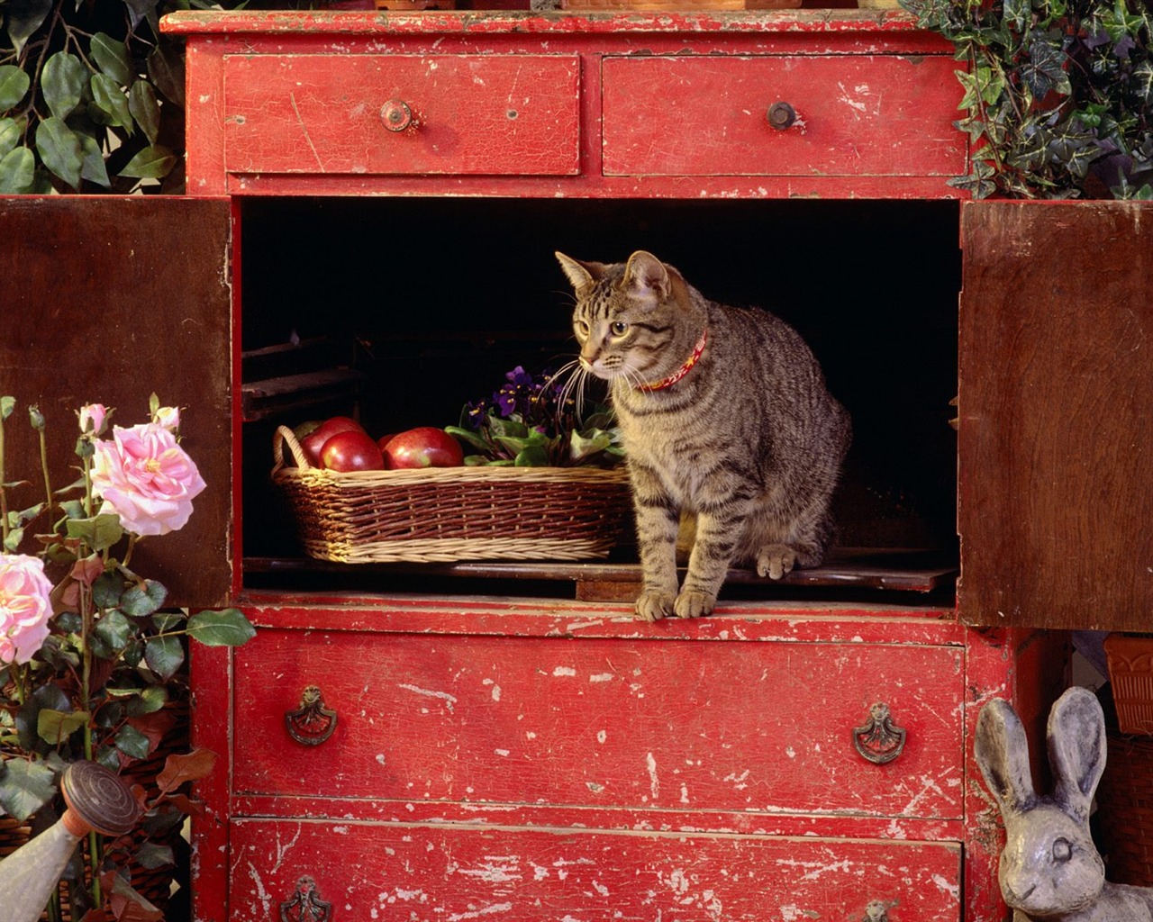 1600 Cat Foto tapety (5) #6 - 1280x1024