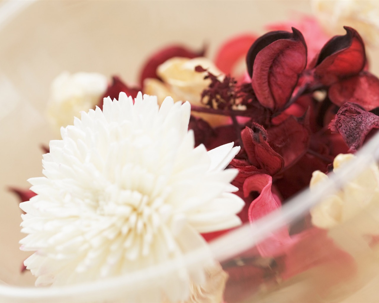 Hlavní Still Life Wallpaper (13) #6 - 1280x1024