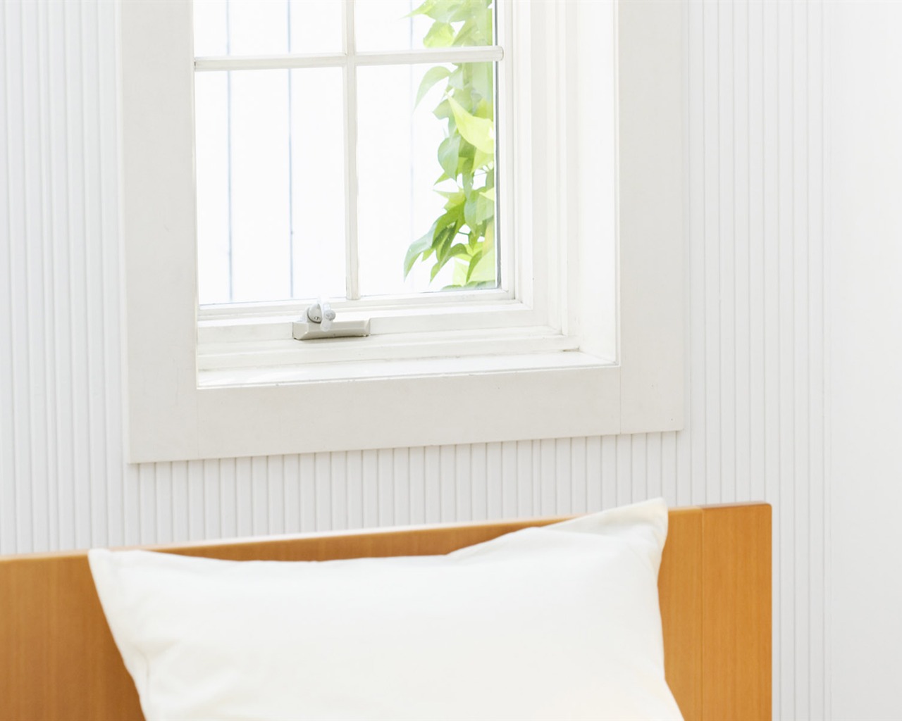 Home Still Life Wallpaper (14) #18 - 1280x1024